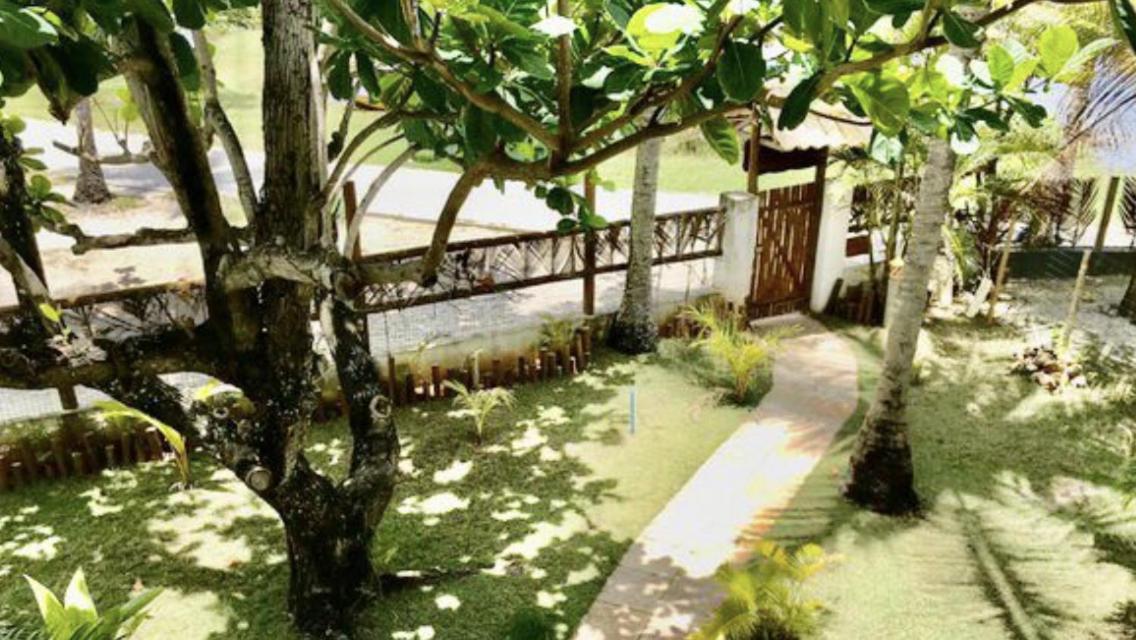 Paradise Beach House Imbassai Exterior foto